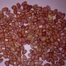 ��������� ����� - ����������� 2