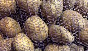 ��������� ����� - ����������� 1