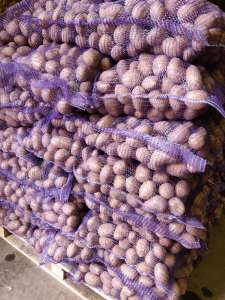 ��������� ����� - ����������� 1