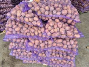 ��������� ����� - ����������� 1