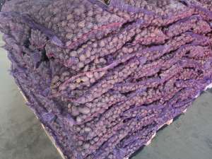 ��������� ����� - ����������� 1