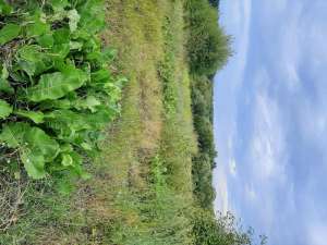 ��������� ����� � �. ����������, ������������ �-� - ����������� 1