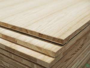 "��������� ����� � ����� ����, ����� (�������- 19 �� / 2,50�1,25 �)","� � ������� �� ������! - ����������� 1