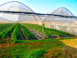 ��������� ����� � ���������� Vatan Plastik - ����������� 1