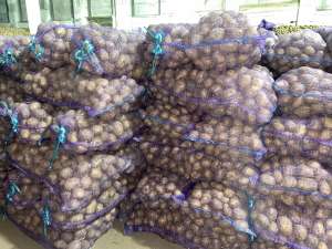 ��������� ����� �� 5 �! - ����������� 1