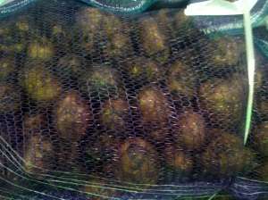 ��������� ����� �� ������������� - ����������� 1