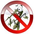 ��������� ����� �� ������������������ ���� - ����������� 2