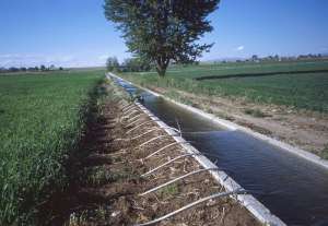 ��������� ����� ��� ������ - ����������� 1