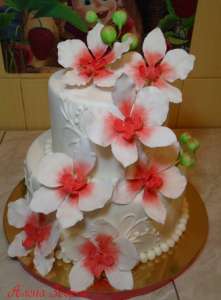 ��������� ����� ���� � ����-������� ��������� - ����������� 1