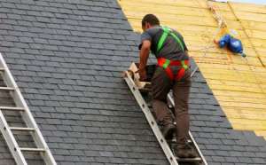 ��������� ����� ���� ������������ ��������i� ��������i� � ��� �� ���������� � ���� ������� �� ������� ������ ³���� ���� - ����������� 1