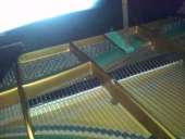 ��������� ����� ����� - ����������� 3