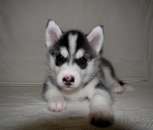 ������� � ����������: ��������� ����� �����