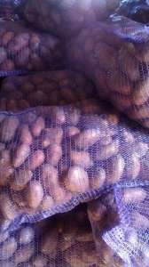 ��������� ����� ����� � ������� �� �������������. - ����������� 1