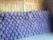 ��������� ����� ����� � ������� �� �������������. - ����������� 3