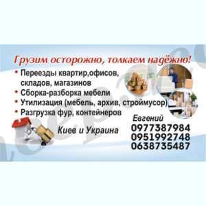 ��������� �����. ������ ���� ��������� - ����������� 1