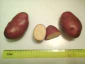 ������� � ����������: ��������� ����� ������, �����