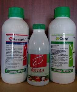 ���������, �����, ������, �������, ����, ������, - ����������� 1