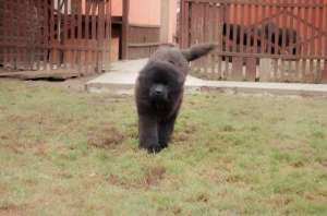 ��������� ����� ������ ������������ (�������) - ����������� 1