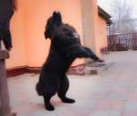 ��������� ����� ������ ������������ (�������) - ����������� 3