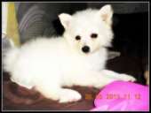 ��������� ����� ������� 2 ��� "�������� ����" - ����������� 2