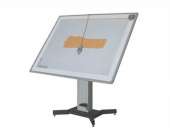 ������� � ����������: ��������� �����. ������� ����� � ����������� ���