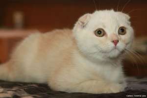 ��������� ����� ������� ������ - ����������� 1