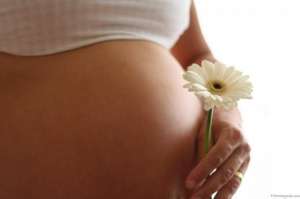 ��������� ����� ������� ���������� � ����������� ��� - ����������� 1