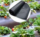 ��������� ����� ��������� 2022. �������� - �������/�������