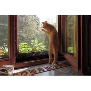 ��������� ����� ��������� ������ - ����������� 1