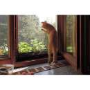 ������� � ����������: ��������� ����� ��������� ������