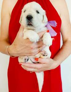 ��������� ����� ����������� ��������� �� ��������� ��� ����� - ����������� 1