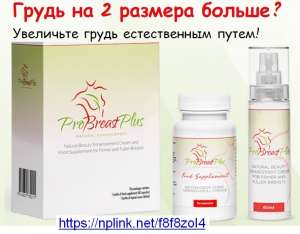 ��������� ����� ������������ ���� - ����������� 1