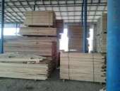 ��������� ����� ���������,������ � �����.. ������ - �������/�������