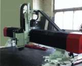 ��������� ������.. ����������, ������� - ������