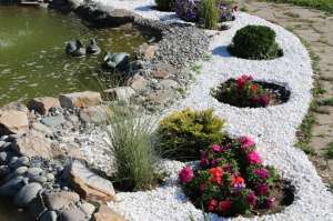 ��������� ������ - ����������� 1