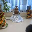 ������� � ����������: ��������� ������ � �����! ��������� ���������� � ����������� �������! ��������� ������ ������� �� �������� ������ �������, ���