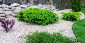 ��������� ������ � �������� - ����������� 1