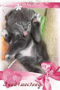 ��������� ������ � ����������� ������� - ����������� 1