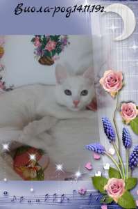 ��������� ������ �� ��� ���� � ����������� - ����������� 1