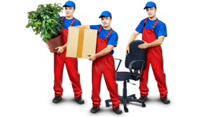 ��������� ������ �� ����� � �������. - ����������� 1