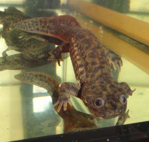 ��������� ������ �� ��������� ��������� ���������. �������� �� �����. - ����������� 1