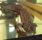 ������� � ����������: ��������� ������ �� ��������� ��������� ���������. �������� �� �����.