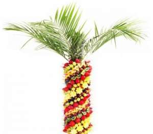 ��������� ������ �� ����������� ���� - ����������� 1