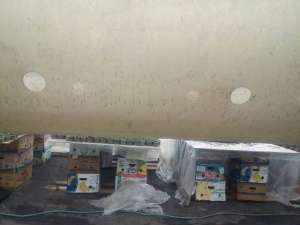 ��������� ������ ��� ���� - ����������� 1