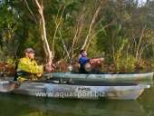 ��������� ������ ���� ��� ������� - ����������� 2