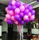 ��������� ������ ����, �������� ������ � ���, ������ � ��볺� - ����������� 3