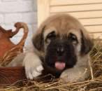 ��������� ������. �����. - ����������� 3