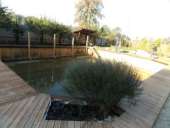 ������� � ����������: ��������� ������ �����, ��������, ������� �����