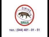 ������� � ����������: ��������� ������ ������, ������ ������������