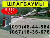 ��������� ������, ������, ��������, ��������, ����. ������ ������ - ������